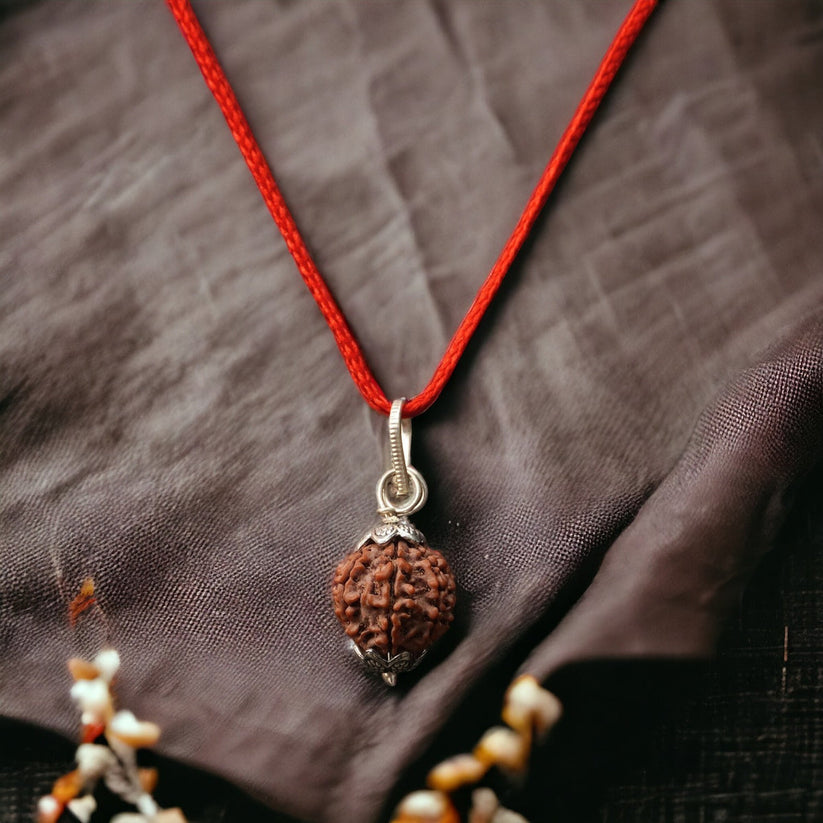 7 Mukhi Nepali Rudraksh